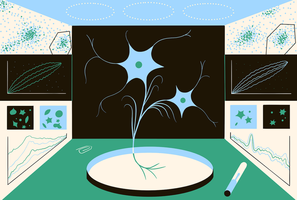 Illustration of astrocytes in a petri dish.
